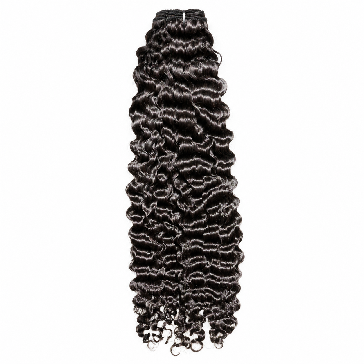 Texture Burmese Curl